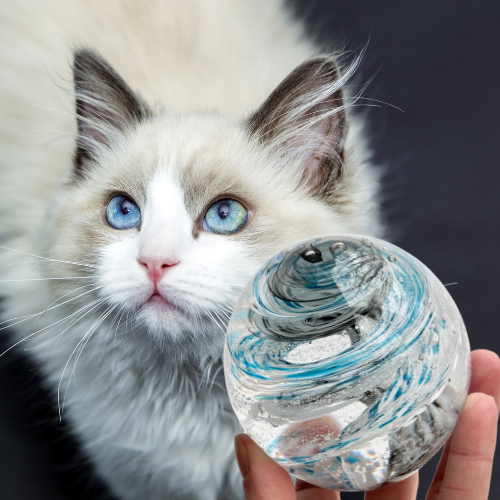 Glass memorial, Ashes in glass, pet memorial, custom color matched tribute, giveaway, free, glass orb, paperweight, tranquil swirl, infinity staircase
