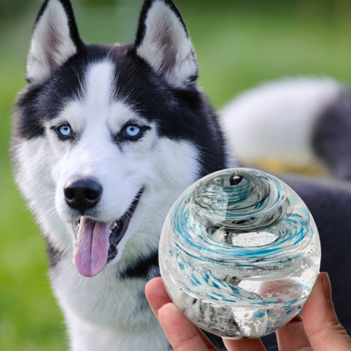 Glass memorial, Ashes in glass, pet memorial, custom color matched tribute, giveaway, free, glass orb, paperweight, tranquil swirl, infinity staircase double helix husky