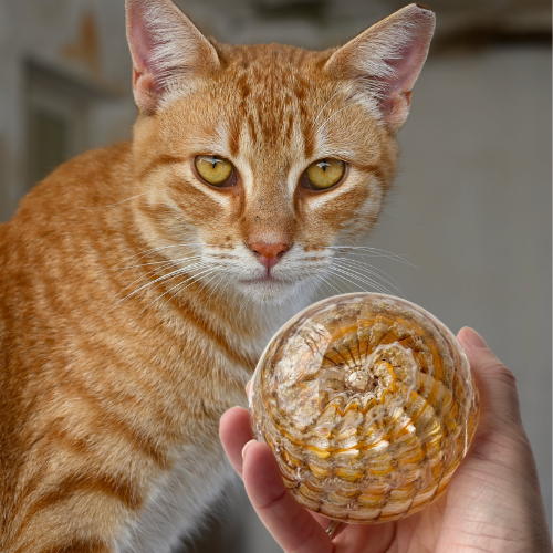 Capture their essence with a unique memorial glass keepsake. 100's of custom color options available to match your pet or loved one’s personality. Ideal as a celebration of life gift.