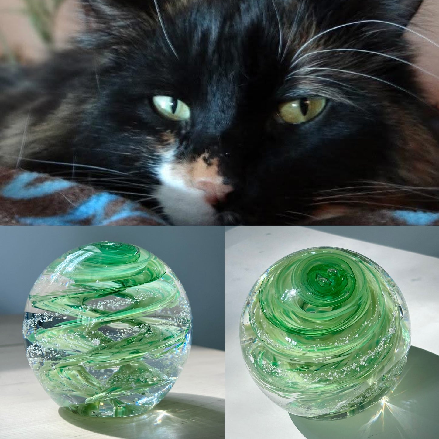 color match glass memorial cat green eyes Glass memorial, Ashes in glass, pet memorial, custom color matched tribute, giveaway, free, glass orb, paperweight, tranquil swirl, infinity staircase