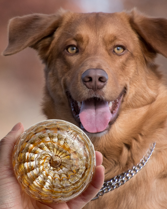 Capture their essence with a custom color glass memorial created in memory of a beloved pet or person. Handmade with infused ashes, this keepsake serves as a lasting symbol of love and remembrance.
