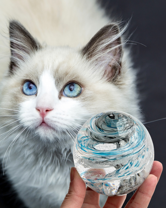 One-of-a-kind remembrance glass orb in your pets eye color with infused ashes