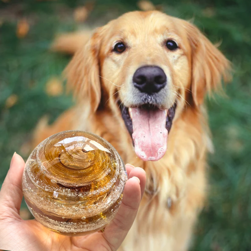 Ash-infused glass tribute matched to pet’s unique coloring Glass memorial, Ashes in glass, pet memorial, custom color matched tribute, giveaway, free, glass orb, paperweight, tranquil swirl, infinity staircase double helix