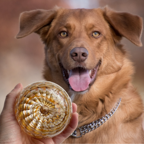 Capture their essence with a custom color glass memorial created in memory of a beloved pet or person. Handmade with infused ashes, this keepsake serves as a lasting symbol of love and remembrance.