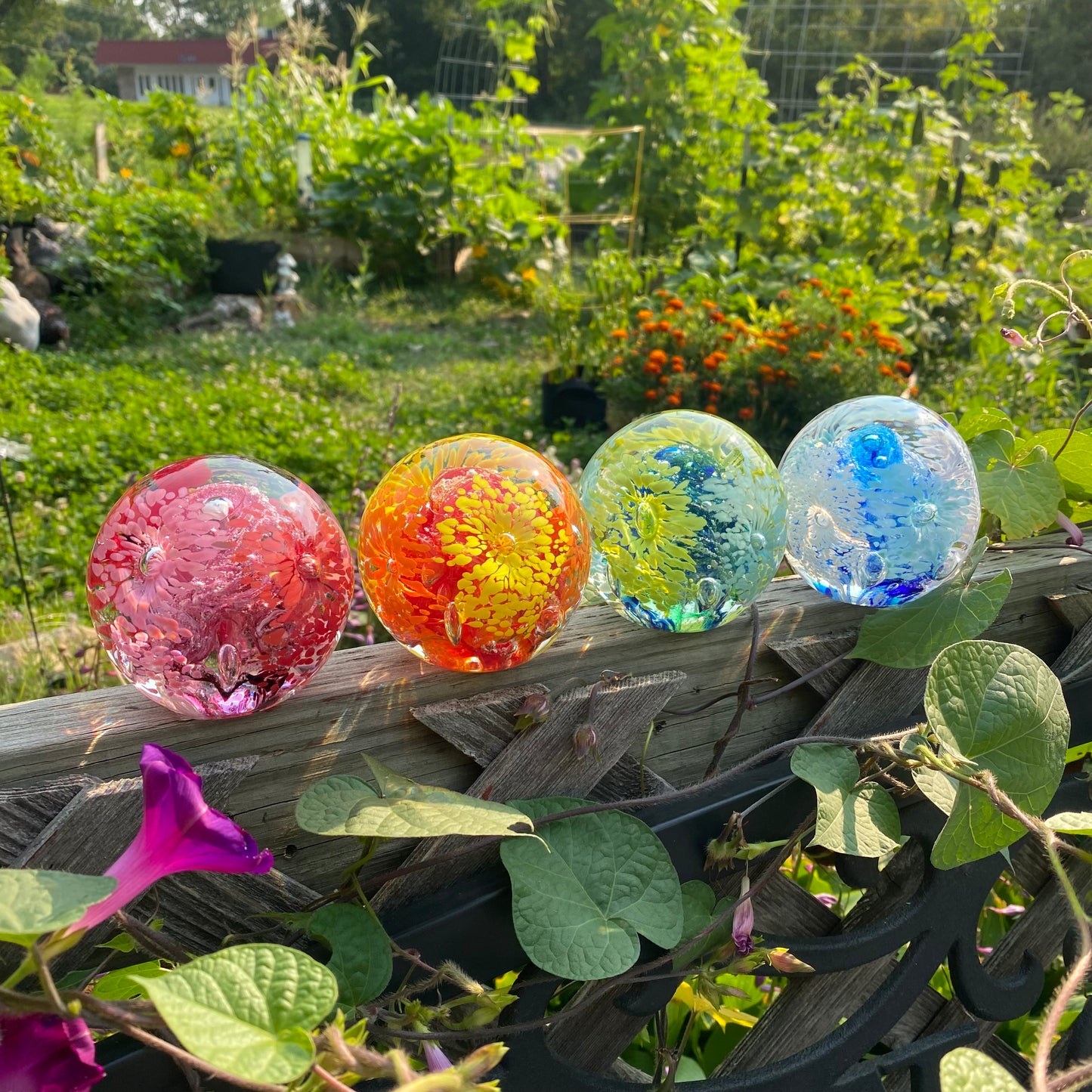Handblown glass memorial orb with layered flower patterns and swirling colors examples in the garden Glass memorial, Ashes in glass, pet memorial, custom color matched tribute, giveaway, free, glass orb, paperweight, tranquil swirl, infinity staircase double helix 
